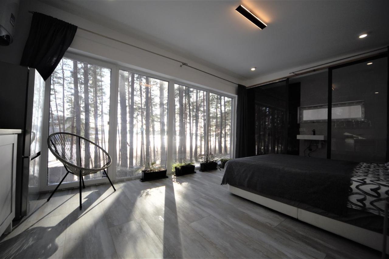 Gaujaclub - Our Bose And Bang&Olufsen Lofts On A Lake Gauja  외부 사진
