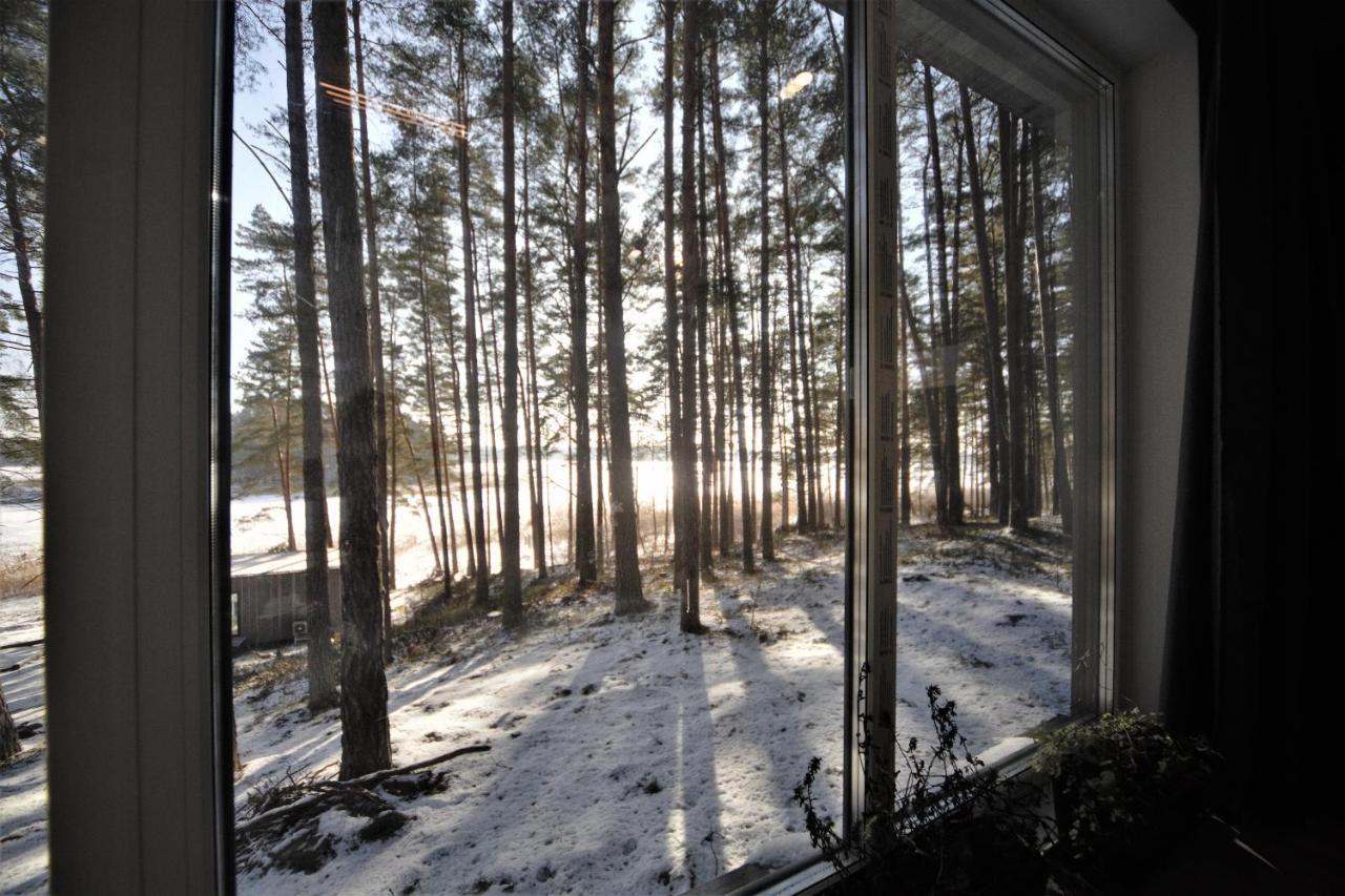 Gaujaclub - Our Bose And Bang&Olufsen Lofts On A Lake Gauja  외부 사진