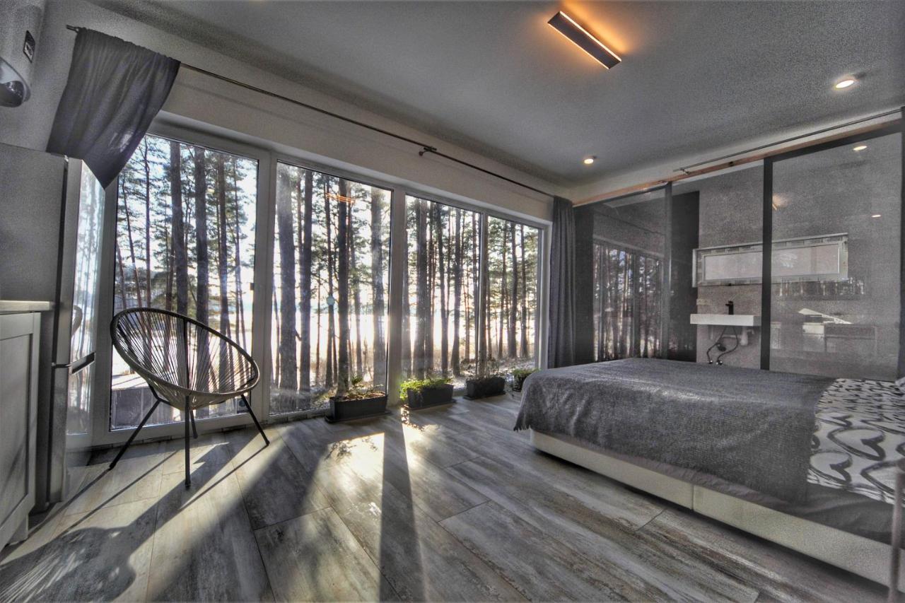 Gaujaclub - Our Bose And Bang&Olufsen Lofts On A Lake Gauja  외부 사진
