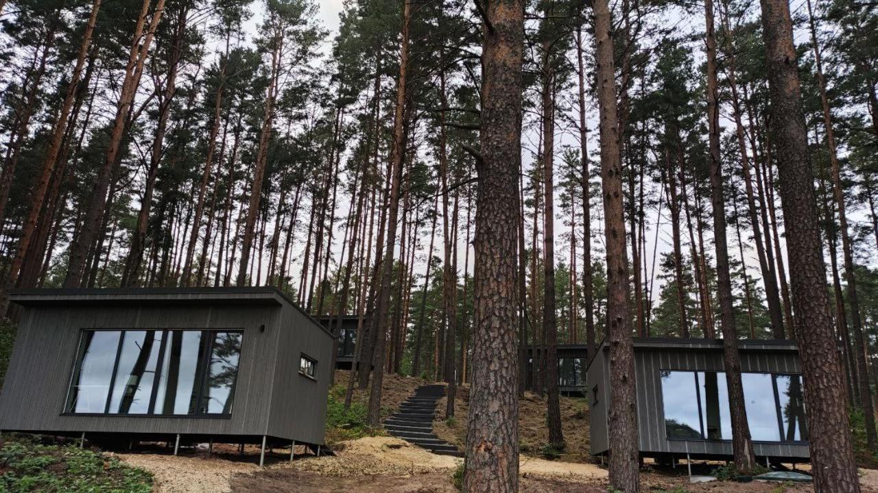 Gaujaclub - Our Bose And Bang&Olufsen Lofts On A Lake Gauja  외부 사진