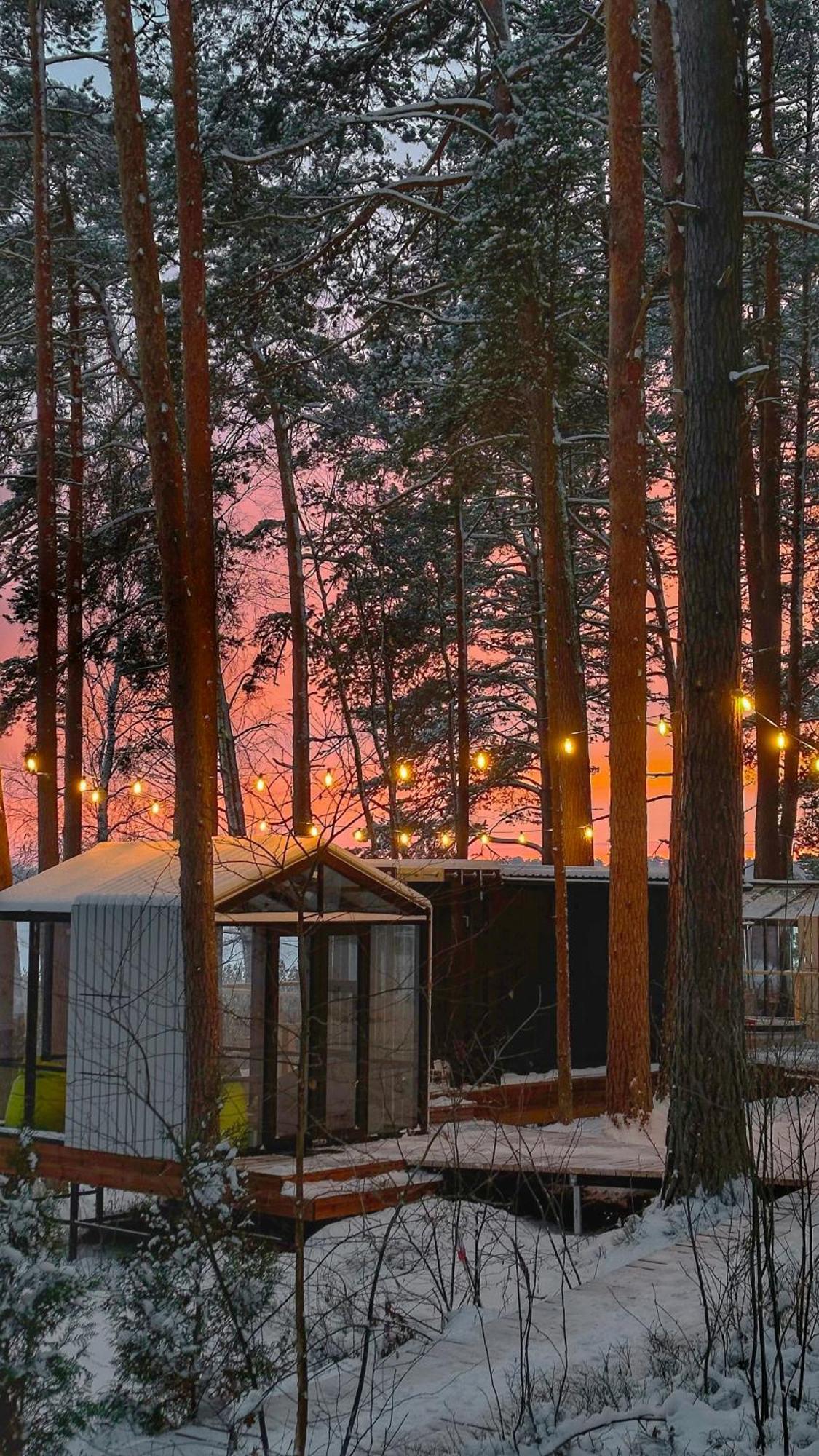Gaujaclub - Our Bose And Bang&Olufsen Lofts On A Lake Gauja  외부 사진