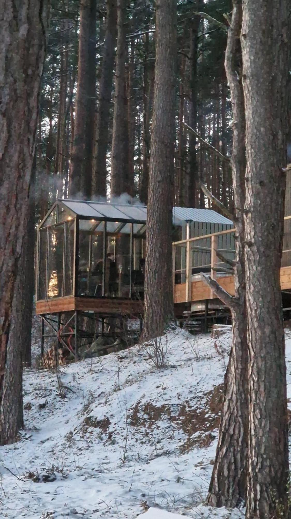 Gaujaclub - Our Bose And Bang&Olufsen Lofts On A Lake Gauja  외부 사진